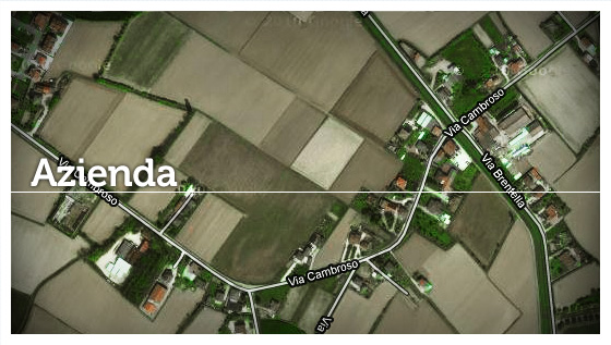 Azienda